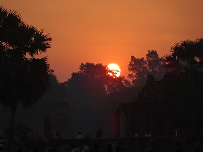 朝日、出た～♪<br />とっても綺麗だ！