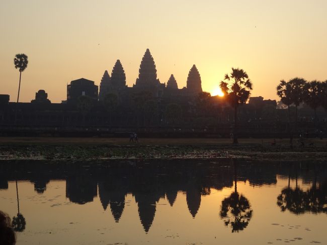 池の周りまで、場所を移動<br />水面に写る姿も素晴らしい♪