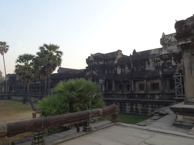 朝の涼しいうちに見学いたしましょう！