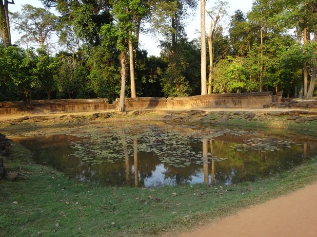 ため池もあり、周りは自然に囲まれています