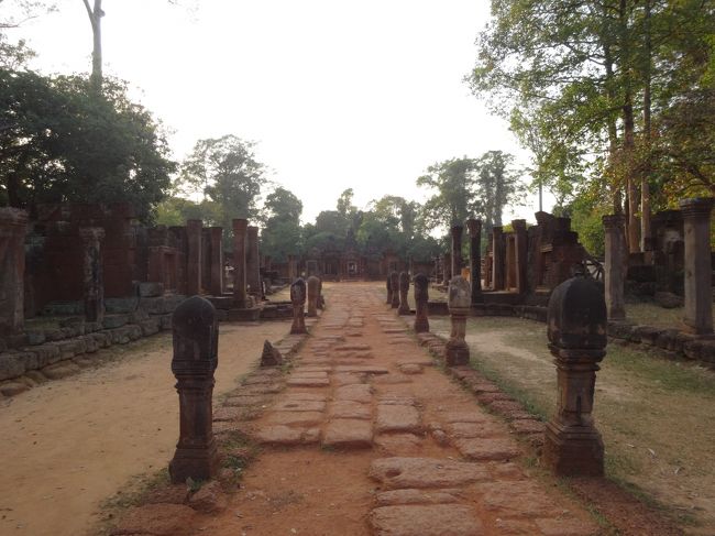 参道の両脇には、○○○の石造