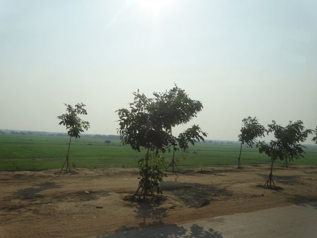 車窓より<br />緑に見えるは田んぼで、1年に2度お米がとれるそうです<br />