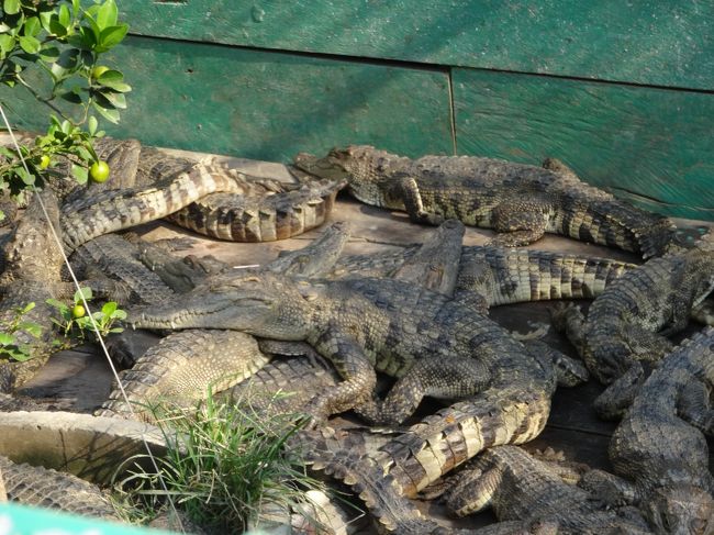 一瞬、何かと思いきや･･･