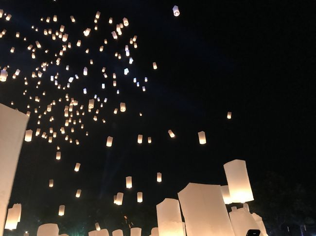 自分が揚げるのを撮るのは無理です。<br /><br />うまく上がりません。