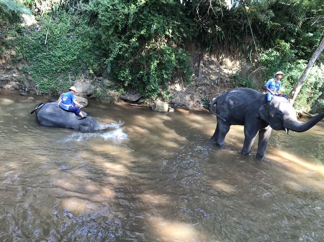 絵を描く像は写真がありません。<br /><br />とてもよかったのですが