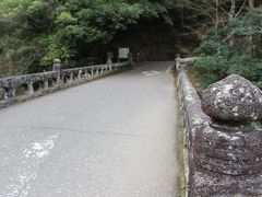 歩くのは一番古い神橋
下から見ると壊れそうでちょっと怖かったけど歩いているときは気にならない。