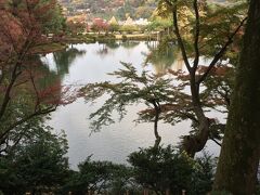 お腹を満たしたらお待ちかねの兼六園観光。さすが日本三名園と呼ばれるだけあって綺麗です