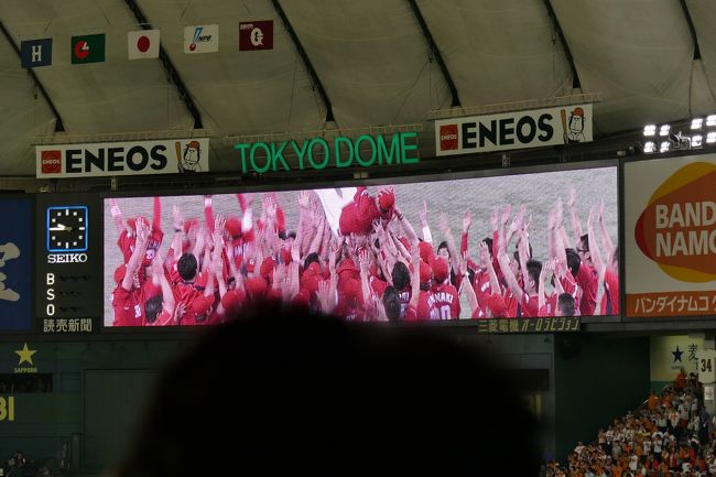カープ・セリーグ優勝❗️即完売プレート❗️