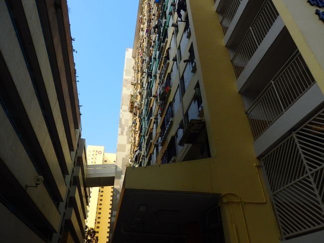 ここはここでなかなかステキなんだけど、どうやってもここからは海に出られそうにないです