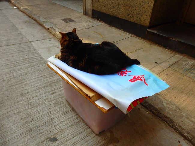 ↑イビスのとこ曲がればホテルなんだけど、まだ3時になっていないので、寄り道します。<br /><br />はーい、デブ子ちゃーん♪