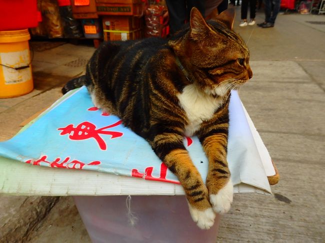 いいねえ、今日もかわいいねえ