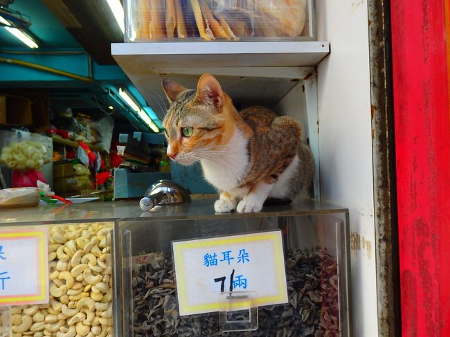 ホテル前まで来たよ