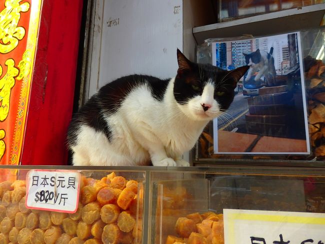 標標さん、おひさ！