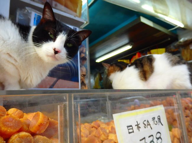 今日は3人（全員で６人いるらしい）<br /><br />やったー。３時です！<br />よくがんばった自分！<br />