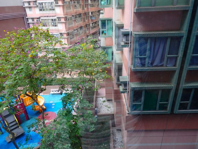 窓の外の景色・・・・・<br />凹凹