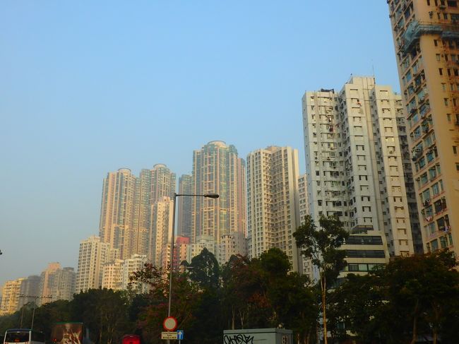 ちょっと散歩してから移動して・・