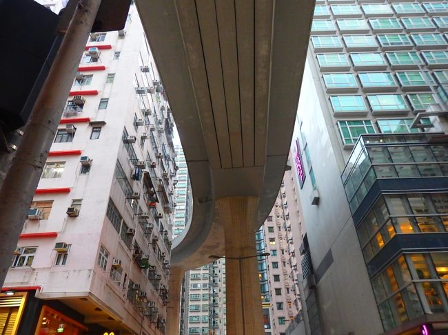 実は、体力の限界近づいてますｗ<br />身体が重い・・<br /><br />はいここ、大好きな山道<br />これが昼間バスで通った道だよーー<br />下から見てもかっこいい！