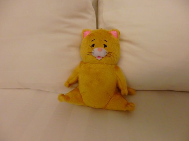 シャワー浴びて洗濯して・・<br />まだちょっと早いけど、疲れたので今日は寝まーす。<br /><br />おやすみなさいｚｚｚ<br /><br />忙しい明日に続くー