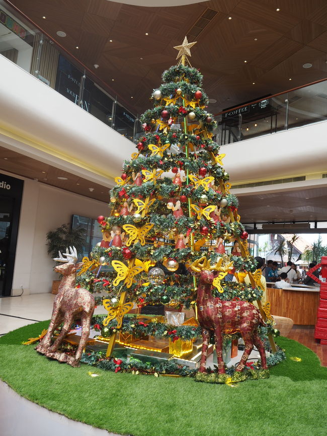 もう年末だと言うのに<br />まだクリスマスツリーが