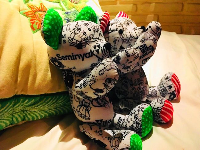 お揃いで買った<br />スミニャックベアちゃん♡<br />私はお顔にSeminyakが入ったベア、<br />友だちはお腹にバリ島が入ったベアにしました