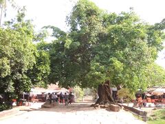 午後はベンメリア遺跡へ

日本語ツアーを予約したので
ホテルまで車でピックアップしにきてくれます

片道1時間以上かかったかな