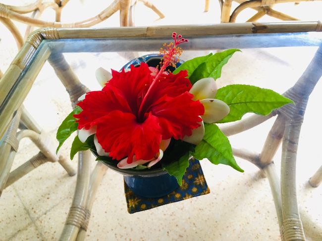 大きなハイビスカス