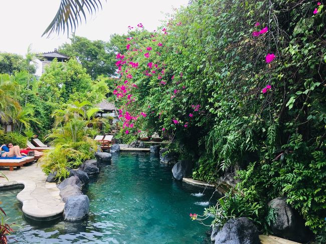 読書をしたりお昼寝したり<br />のんびり過ごす人も多かった