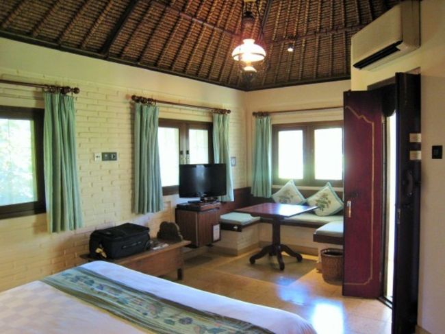 グリーンを基調とした<br />きれいなお部屋♡<br />L字のソファーやテレビ、<br />冷蔵庫もちゃんとあります<br />