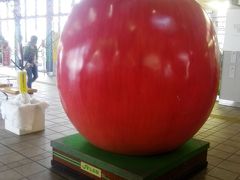 りんご　さすが弘前
昨日も赤くて丸いでっかい物　秋田駅で見たなー
だいたい同じ大きさです