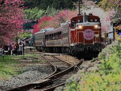 トロッコ列車の一つ。「渡良瀬渓谷号。」この時は「花もも号」でした。トロッコ列車の中ではオリジナルのグッズも売っています。