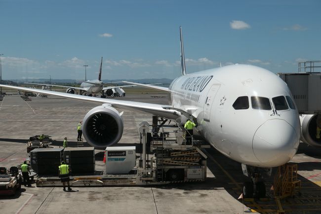 東京 クライストチャーチ ニュージーランド航空ビジネスで往復 クライストチャーチ ニュージーランド の旅行記 ブログ By ndmさん フォートラベル