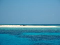 約2時間で到着。
ミコマスケイです。
小さい島で細かいサンゴで出来た砂浜は真っ白で鳥がいっぱい。
鳥嫌いな人には無理かも。

