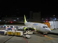 成田空港には18時に到着。
もう真っ暗でした。
ボーイング737-800の「HL7555」でした。