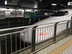 近鉄線で行くつもりでしたが、新幹線に変更です。
なんと初のぞみでしたが、新大阪駅に着いてチケット購入して
即乗車、即爆睡、あっという間に到着！