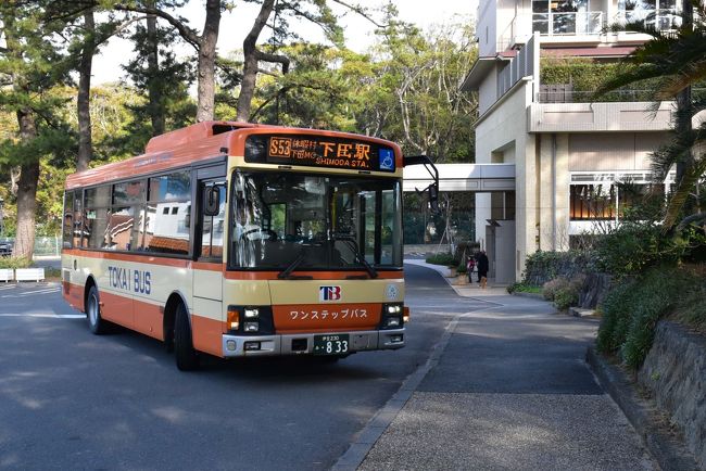 休暇村南伊豆と弓ヶ浜の景観 白砂の弓なりビーチと路地裏めぐり 南伊豆 弓ヶ浜 静岡県 の旅行記 ブログ By かっちんさん フォートラベル