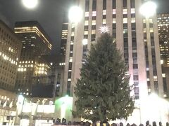 クリスマスツリーの点灯式前
飾り付けはされていませんが、雰囲気はバッチリ