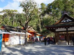 2019年の初詣は吉田神社へ。
京都大学のすぐ横の、節分祭で有名な神社だけど、
初詣の人出はこれくらい。
落ち着いた雰囲気で、吉田山の緑もきれいでとっても大好きな神社です。