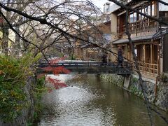 京都を歩いていると、毎回たどり着いてしまう白川…