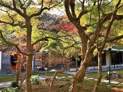 食事のあとは、北鎌倉の長寿寺へ
足利尊氏の邸宅跡に建てられたお寺で、境内裏山には尊氏の遺髪を埋葬したお墓があることで知られています。