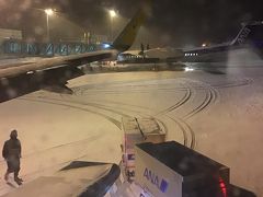 函館空港到着。外気温氷点下4℃。風混じりの雪で北国感半端ない??