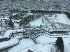 モノトーンの五稜郭。素敵すぎます。中央には箱館奉行所。