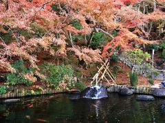 初冬の長谷寺
鎌倉の紅葉は遅いので、12月上旬に紅葉の見ごろを迎えます。