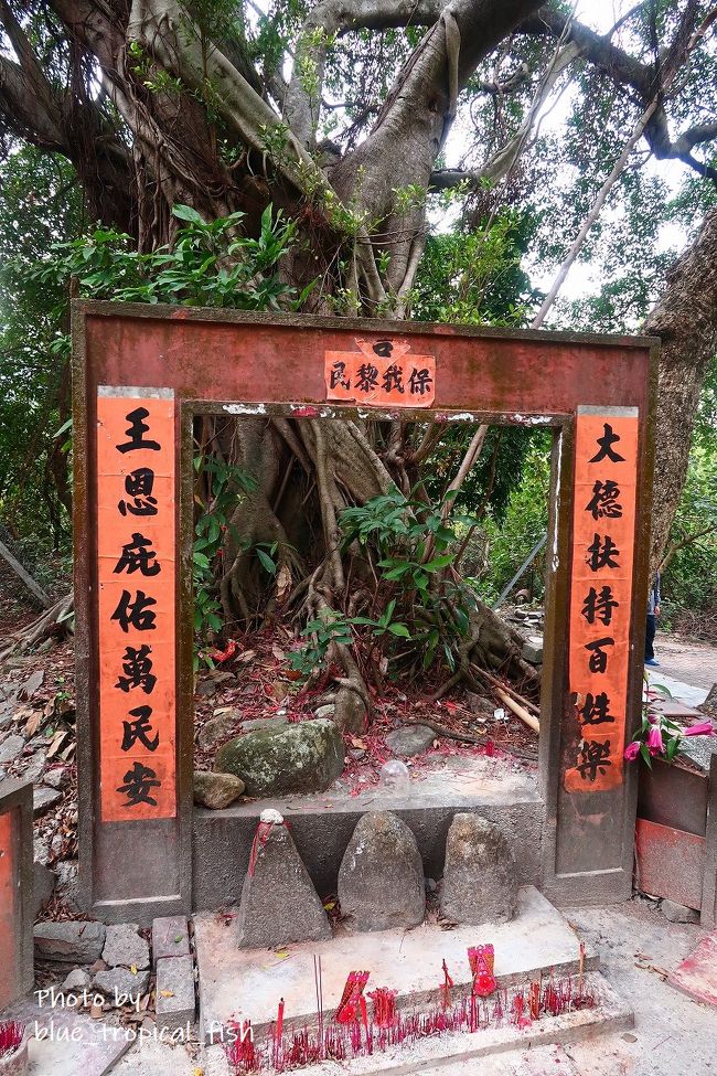 土地の神様。<br /><br />写真には写っていませんが、近くには10名ほど人がいました。携帯のゲームをしに来ているようでした。