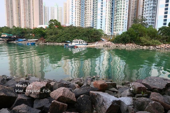 このあたりでも釣りをしている人がいました。