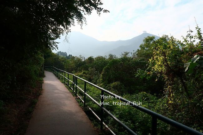 さらに歩いていきました。