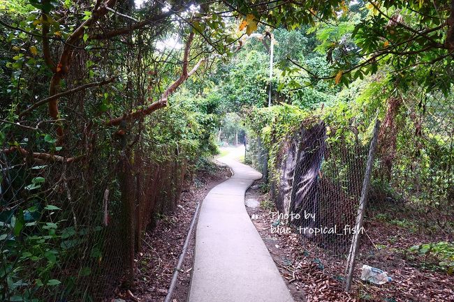 こんな道。<br /><br />初めて来たらちょっと不安になるかもしれませんが、3，4回来ているので慣れたもんです？