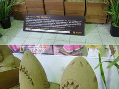 　砂で作った、鳥取にちなんだ因幡の白兎像。

　そういえば、鳥取には砂像アートを屋内展示する美術館があるんだっけ。わざわざ行ってみたいと思わないけど。北海道で言えば、年がら年中大雪像を展示してるようなもんだよな。通年で集客するほどのパワーがあるんだろうか。

　ここでは軽く蕎麦を頂いてから、また山陰線の旅に戻る。