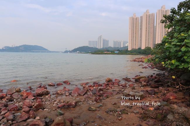 先ほど歩いた馬灣涌村が見えました。