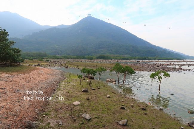 この時間は干潮だったので歩けました。