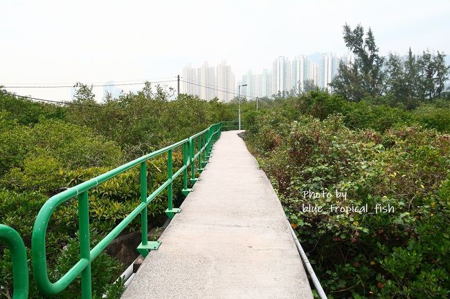 自然いっぱい。